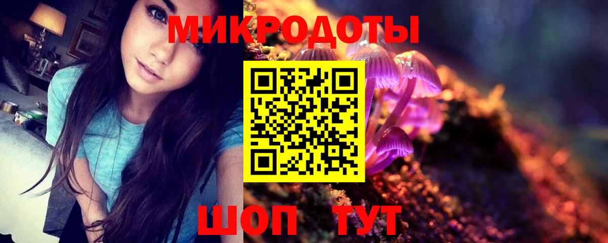 Печора  Псилоцибиновые грибы Psilocybe  Вход с VPN 